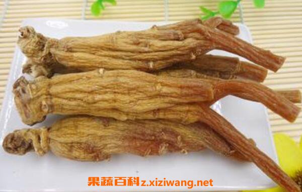 大力参的功效与作用及禁忌