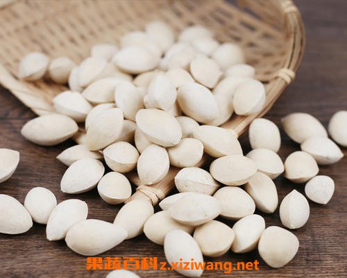 白果皮