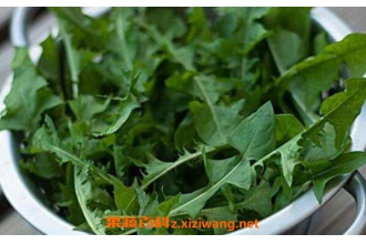 石灰菜的功效与作用 吃石灰菜的好处