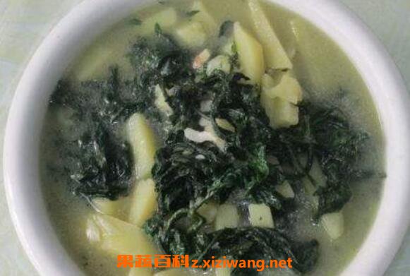 苦乐芽的作用功效