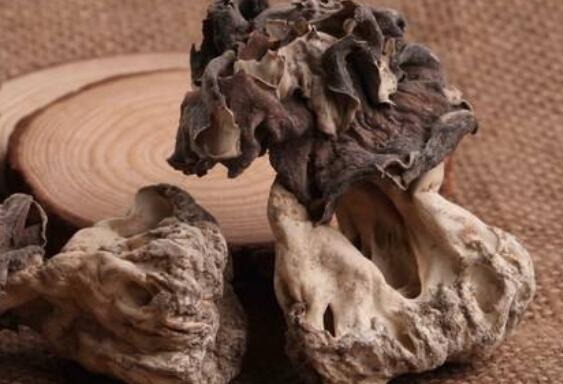 巴楚蘑菇的功效和作用