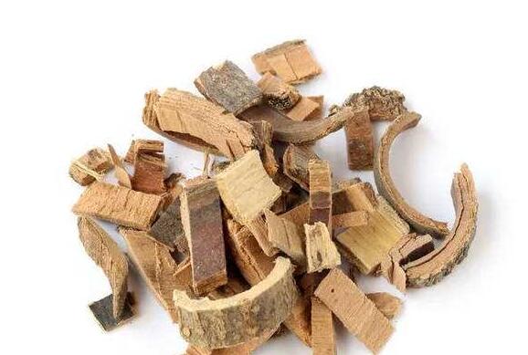 苦连树皮的功效与作用