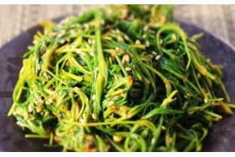 海蓬菜什么人不宜多吃 海蓬菜的禁忌