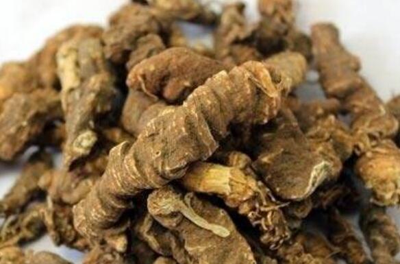 石黄连的功效与作用及药用价值