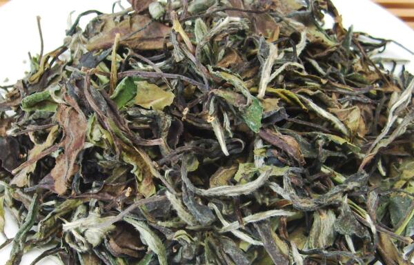 白牡丹茶的功效与作用