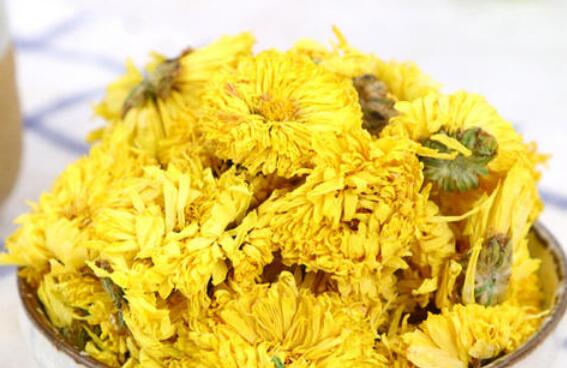 怀菊花的功效与禁忌