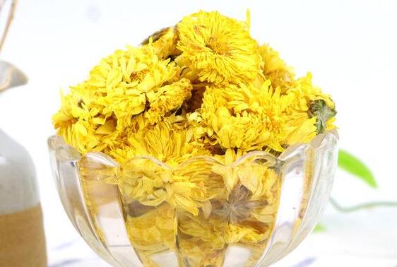 怀菊花的功效与禁忌