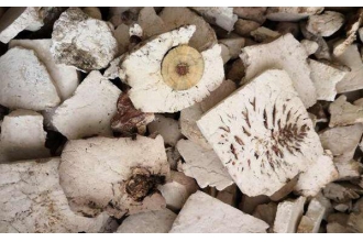 炒茯神的功效与作用