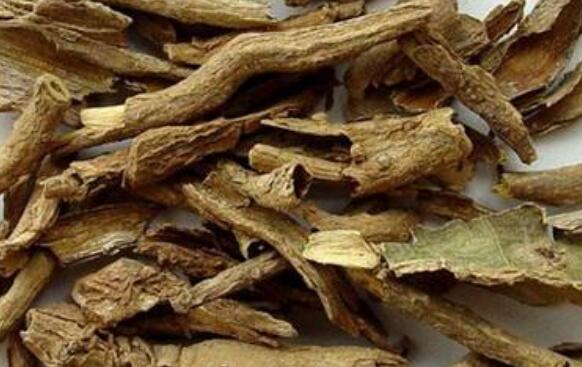 地骨皮怎么吃 地骨皮的食用方法