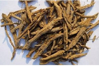 地骨皮的功效与作用 地骨皮的食用方法