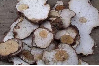 茯神木的功效与作用 茯神木的药用价值