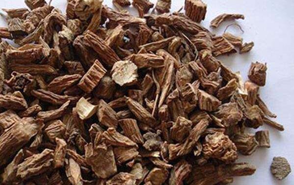续断的功效与作用 续断的副作用