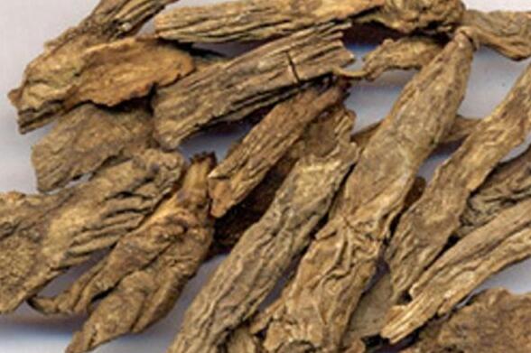 续断的功效与作用 续断的副作用
