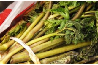 苦乐芽怎么做 苦乐芽的食用方法