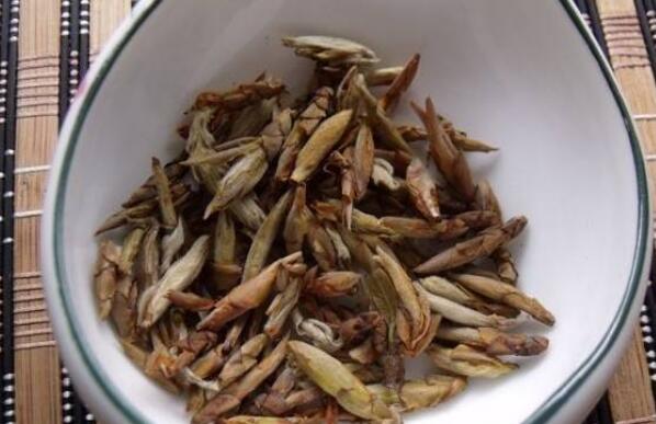 老鹰茶的副作用与禁忌 老鹰茶哪些人不能喝