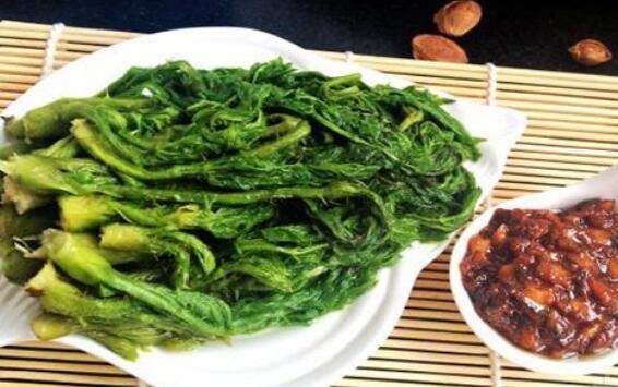 苦乐芽怎么做好吃 吃苦乐芽的好处