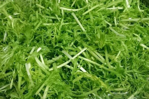 银丝菜的功效与作用