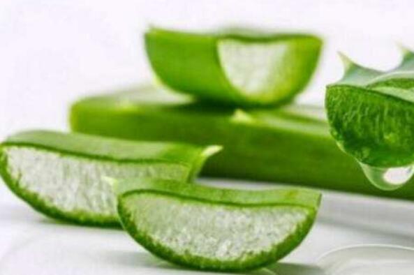 芦荟汁液的功效与作用