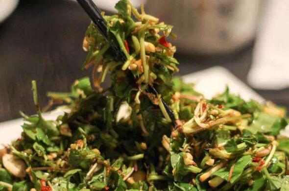 马蹄叶怎么吃 马蹄叶的吃法大全