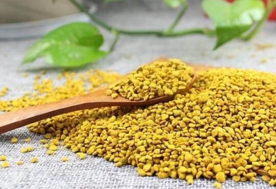 油菜花粉的功效与作用 油菜花粉的禁忌