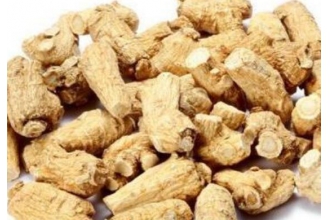 花旗参的功效与作用及禁忌