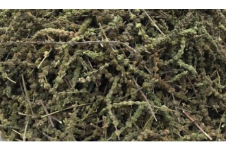 荆芥穗碳的功效与作用