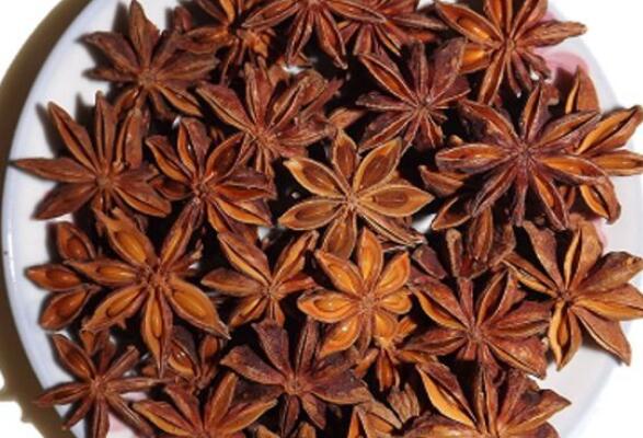 八角茴香怎么吃 八角茴香的食用方法