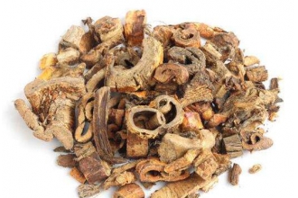 桑白皮的功效与作用 桑白皮的禁忌