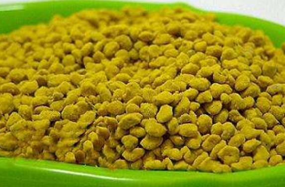 油菜花粉怎么吃 油菜花粉的食用方法大全