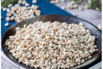 薏仁水的功效与作用及食用方法