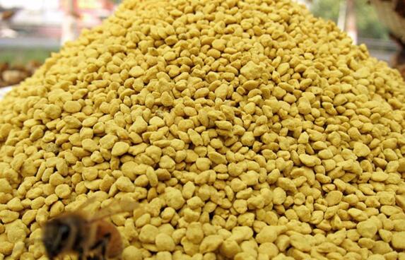 油菜花粉怎么服用 油菜花粉的食用方法