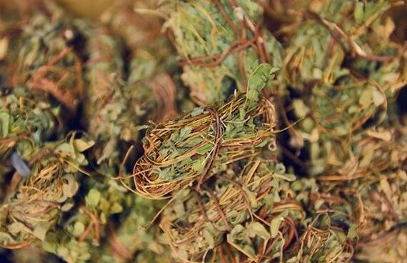 鸡骨草的功效与作用 鸡骨草的药用价值