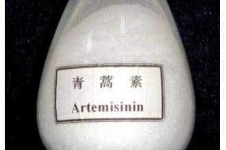 屠呦呦青蒿素的功效与作用