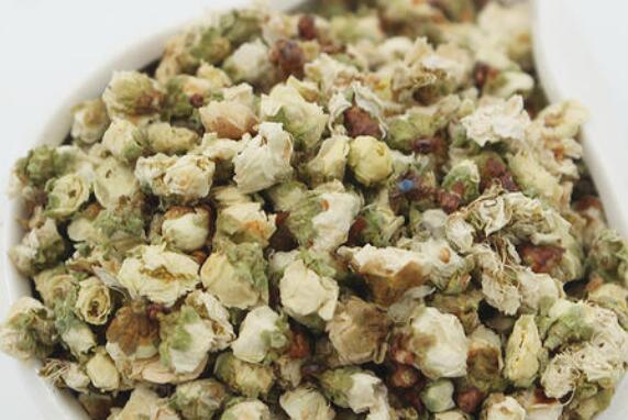白梅花茶什么人不能喝 喝白梅花茶的禁忌
