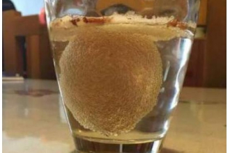 白醋泡鸡蛋的功效与作用