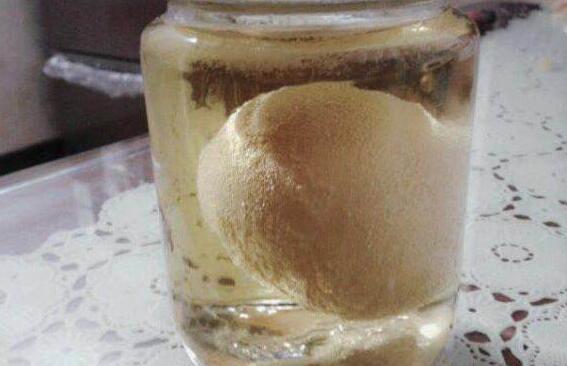 白醋泡鸡蛋的功效与作用