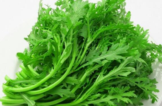 大茼蒿的功效与作用