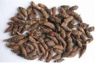 醋香附的功效与作用及禁忌