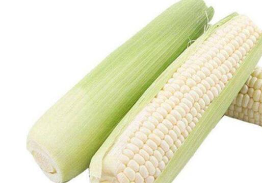白糯玉米的功效与作用