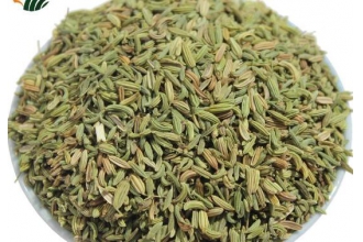 小茴香籽的禁忌及副作用