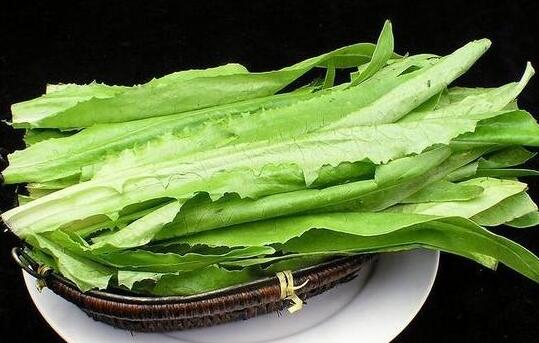 油麦菜的功效和禁忌