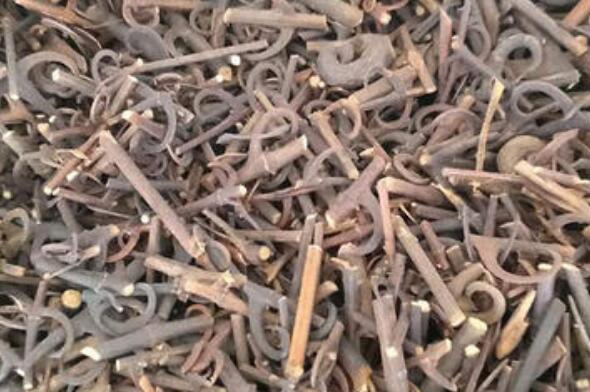 钩藤茶的功效与作用及禁忌