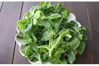 田七叶怎么吃 田七叶的食用方法