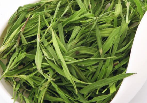 竹叶茶的功效与作用及禁忌