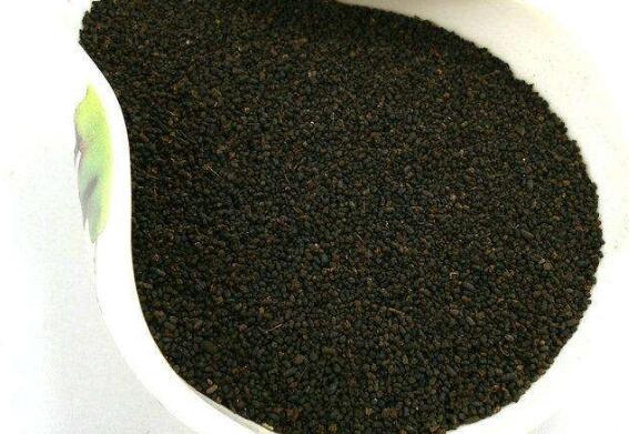 普洱虫屎茶的作用与功效