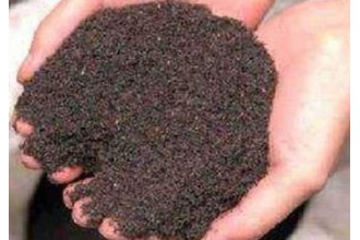 虫屎茶如何辨别 虫屎茶的辨别方法