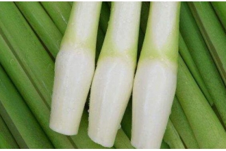 茭白的功效与作用及禁忌
