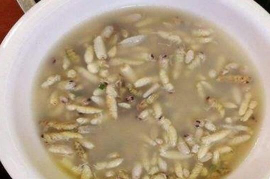蜜蜂肉怎么做 蜜蜂肉吃了有什么效果