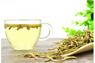 金银花茶和什么搭配好