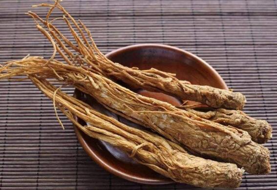 云南西归的功效与作用